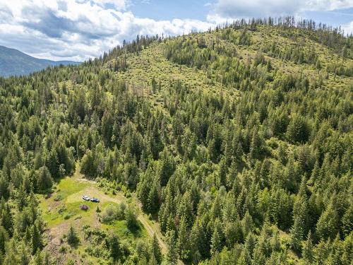 Planned Lot 2 Tappen Notch Hill Road, Tappen, BC 