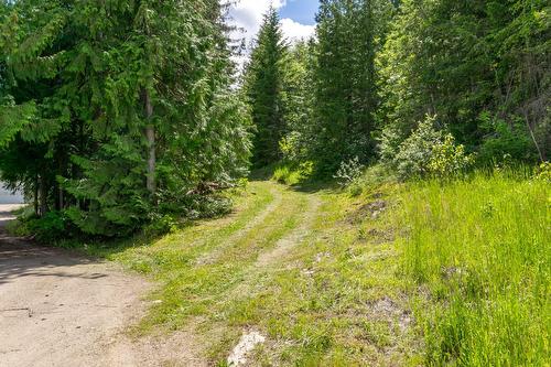 Planned Lot 2 Tappen Notch Hill Road, Tappen, BC 