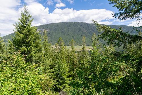 Planned Lot 2 Tappen Notch Hill Road, Tappen, BC 