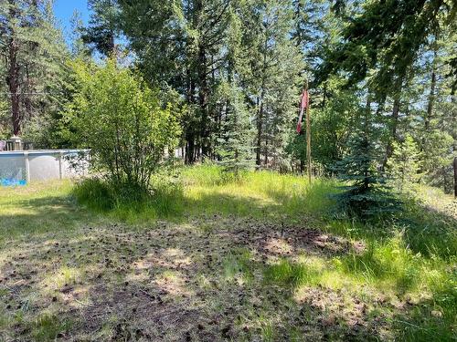 4475 Maxwell Road, Peachland, BC - Outdoor