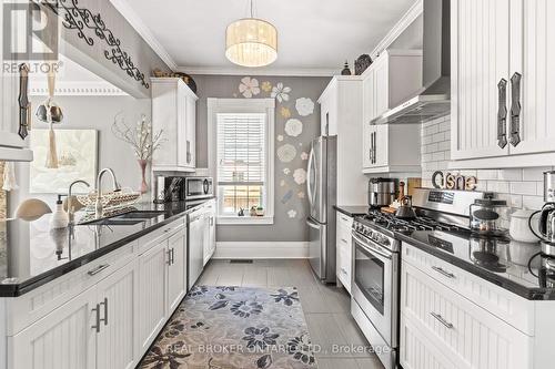 464 Scott Street, St. Catharines, ON - Indoor Photo Showing Kitchen With Stainless Steel Kitchen With Double Sink With Upgraded Kitchen