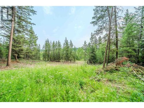 3340 Wright Station Road, Lac La Hache, BC 