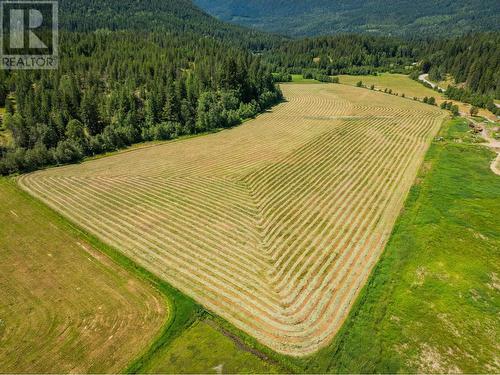 2335 Pass Creek Road, Castlegar, BC - Outdoor With View