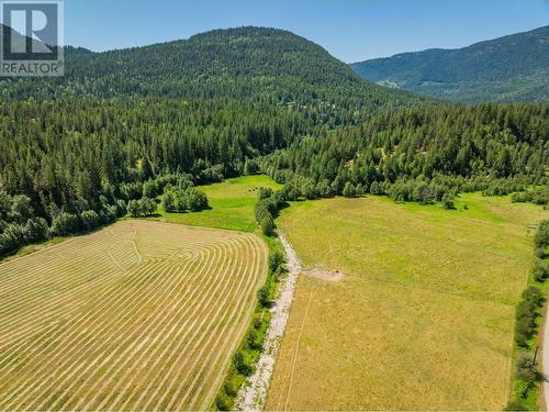 2335 Pass Creek Road, Castlegar, BC - Outdoor With View