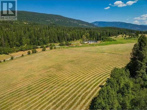 2335 Pass Creek Road, Castlegar, BC - Outdoor With View