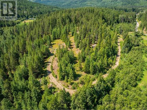 2335 Pass Creek Road, Castlegar, BC - Outdoor With View