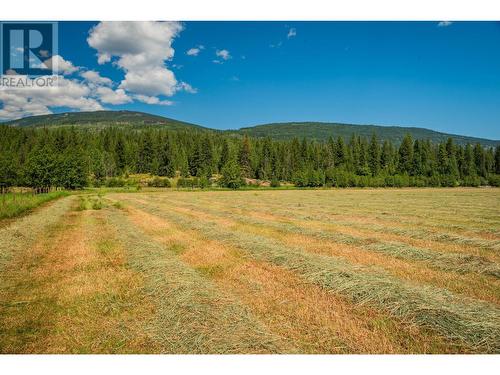 2335 Pass Creek Road, Castlegar, BC - Outdoor With View