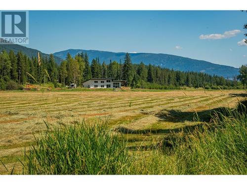 2335 Pass Creek Road, Castlegar, BC - Outdoor With View