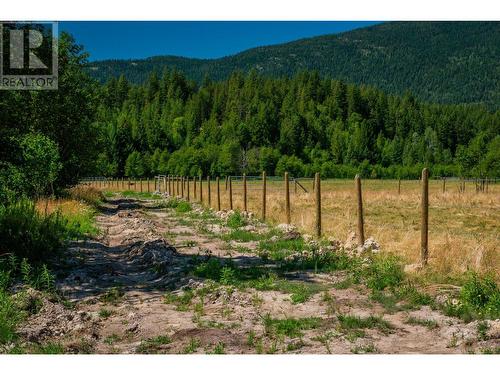 2335 Pass Creek Road, Castlegar, BC - Outdoor With View