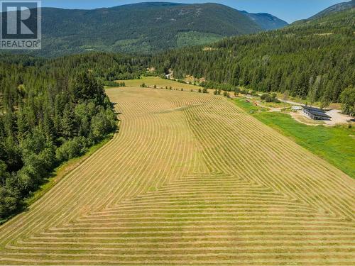 2335 Pass Creek Road, Castlegar, BC - Outdoor With View