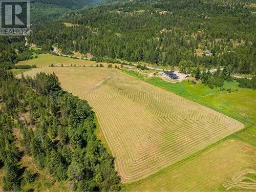 2335 Pass Creek Road, Castlegar, BC - Outdoor With View