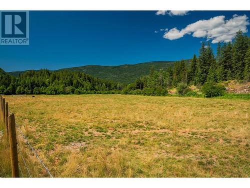 2335 Pass Creek Road, Castlegar, BC - Outdoor With View