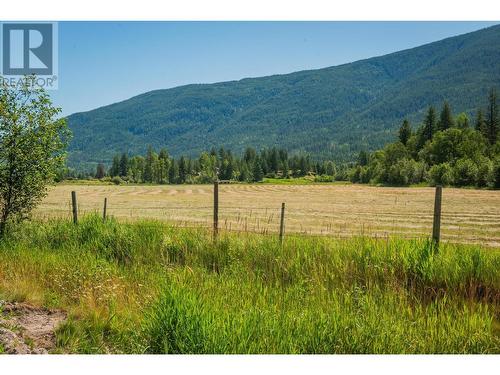 2335 Pass Creek Road, Castlegar, BC - Outdoor With View