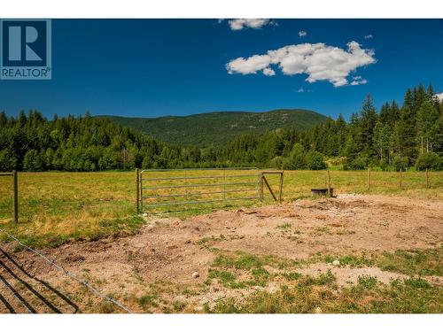 2335 Pass Creek Road, Castlegar, BC - Outdoor With View