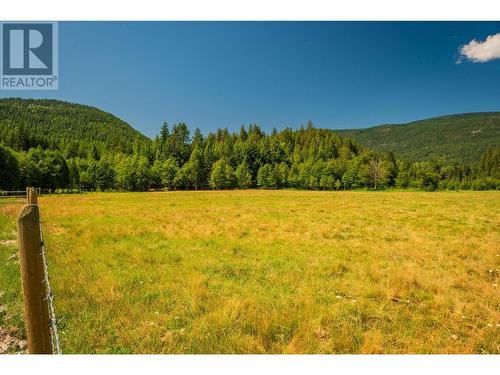 2335 Pass Creek Road, Castlegar, BC - Outdoor With View