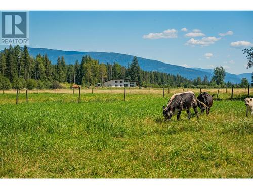 2335 Pass Creek Road, Castlegar, BC - Outdoor With View