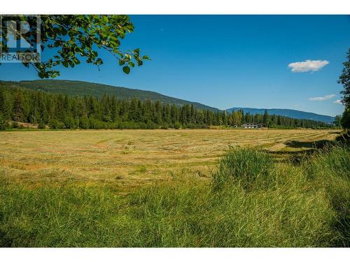 2335 Pass Creek Road, Castlegar, BC - Outdoor With View