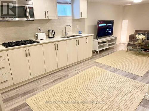 Bsmt #1 - 214 Beechy Drive, Richmond Hill (Crosby), ON - Indoor Photo Showing Kitchen With Double Sink