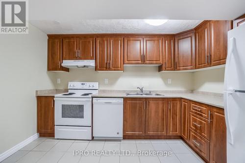 Lower - 588 Peach Blossom Court, Kitchener, ON - Indoor Photo Showing Kitchen With Double Sink