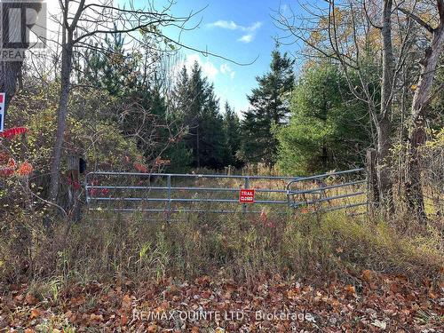 190 Riggs Road, Madoc, ON 