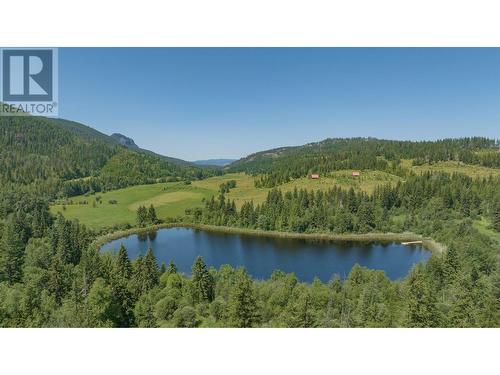 592 Bear Valley Road, Lumby, BC - Outdoor With Body Of Water With View