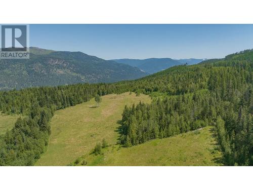 592 Bear Valley Road, Lumby, BC - Outdoor With View