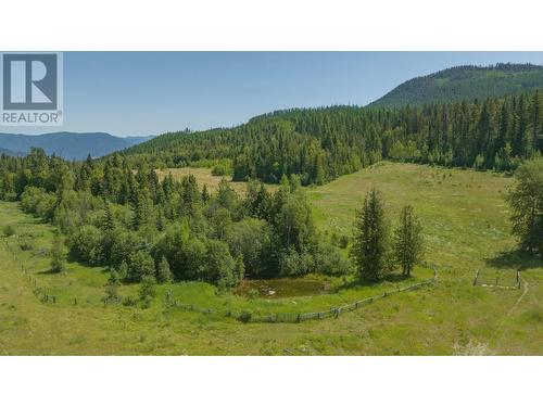 592 Bear Valley Road, Lumby, BC - Outdoor With View