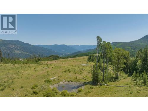 592 Bear Valley Road, Lumby, BC - Outdoor With View