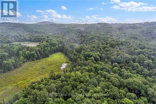 732 Old Barry'S Bay Road, Madawaska Valley, ON 