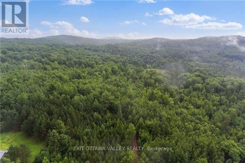 732 Old Barry'S Bay Road, Madawaska Valley, ON 