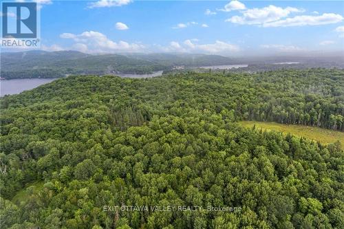 732 Old Barry'S Bay Road, Madawaska Valley, ON 