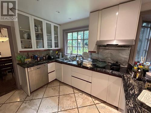 Room - 19 Colonnade Road, Toronto (Bayview Woods-Steeles), ON - Indoor Photo Showing Kitchen With Double Sink