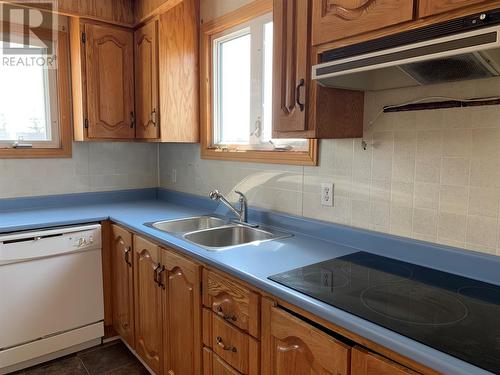 8 Birch Hills Road, Small Point, NL - Indoor Photo Showing Kitchen With Double Sink