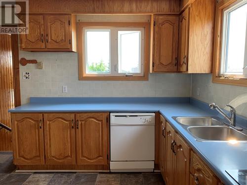 8 Birch Hills Road, Small Point, NL - Indoor Photo Showing Kitchen With Double Sink