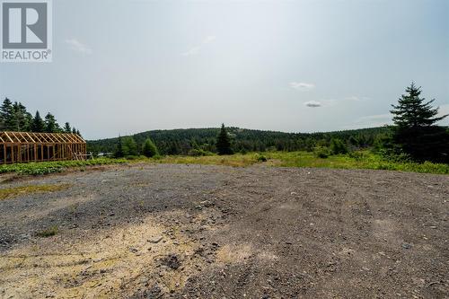 1 Cart Place, Conception Harbour, NL - Outdoor With View