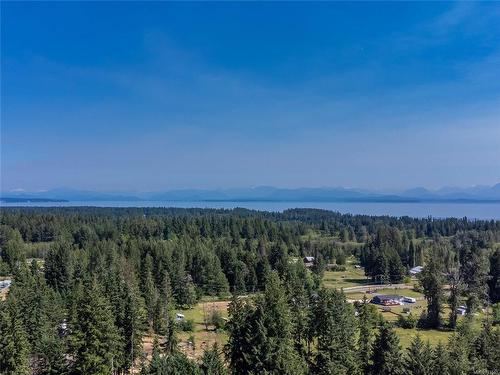 8598 Island Hwy North, Black Creek, BC 