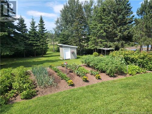 222 Marie, Beresford, NB - Outdoor