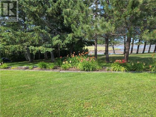 222 Marie, Beresford, NB - Outdoor