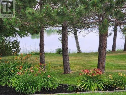 222 Marie, Beresford, NB - Outdoor With View