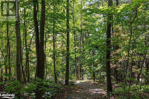 Forested Trail leading to public access on Fairy Lake - 311 Grandview Hilltop Drive Unit# 3, Huntsville, ON - Outdoor