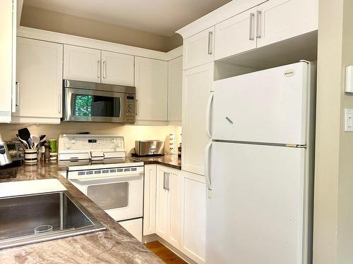 Kitchen - 781 Ch. De La Croix, Sainte-Adèle, QC - Indoor Photo Showing Kitchen