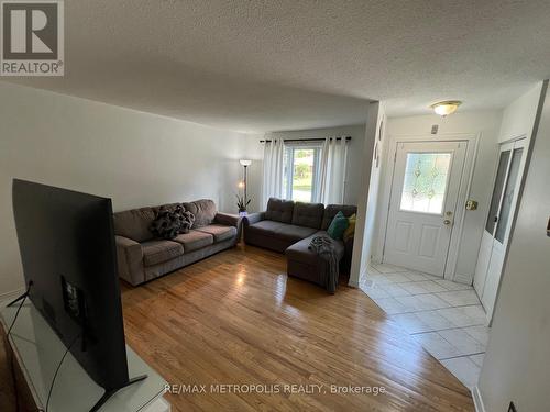 9504 Ashland Drive, Windsor, ON - Indoor Photo Showing Living Room