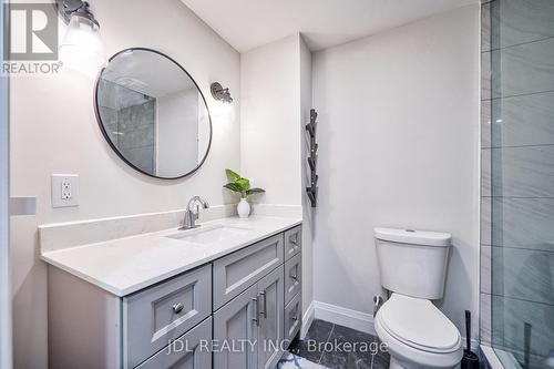 Lower - 195 Greti Drive, Hamilton, ON - Indoor Photo Showing Bathroom