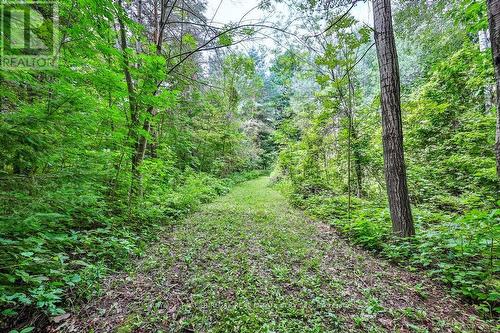 1787 County Road 26, Brighton, ON - Outdoor