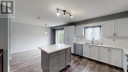 353 Westmeadow Drive, Kitchener, ON - Indoor Photo Showing Kitchen With Double Sink