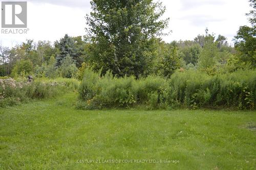 2568 Simcoe Road, Ramara (Brechin), ON - Outdoor With View