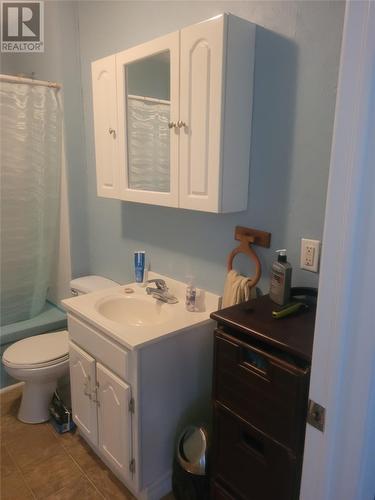 10 Birch Street, Springdale, NL - Indoor Photo Showing Bathroom