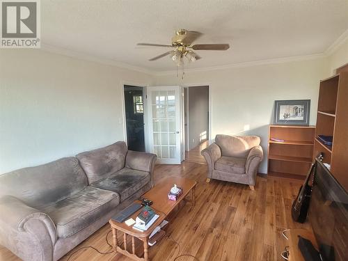 10 Birch Street, Springdale, NL - Indoor Photo Showing Living Room