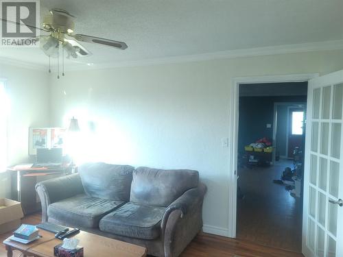 10 Birch Street, Springdale, NL - Indoor Photo Showing Living Room