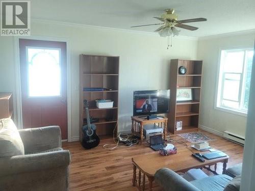 10 Birch Street, Springdale, NL - Indoor Photo Showing Living Room